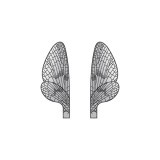 Ali Realistiche Mayfly  <br /> Grigio MW-1-G 