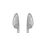 Realistic Mayfly Wings<br /> Grey