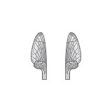 Realistic Mayfly Wings<br /> Grey MW-2-G 