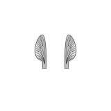 Realistic Mayfly Wings<br /> Grey MW-4-G 