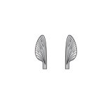 Ailes réalistes Mayfly <br /> Gris MW-4-G 