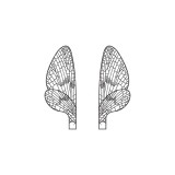 Aripi Realiste Mayfly <br /> Neutru MW-1-N 
