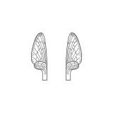 Aripi realiste Mayfly  <br /> Neutru MW-2-N 