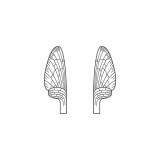 Realistic Mayfly Wings<br /> Neutral MW-2-N 