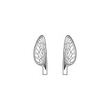 Ailes réalistes Mayfly <br /> Neutre MW-3-N 