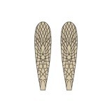 Ailes réalistes Stonefly <br /> Marron SW-1-BR
