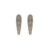 Ailes réalistes Stonefly <br /> Marron SW-3-BR