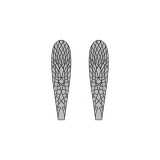 Realistic Stonefly Wings <br />Grey SW-2-G