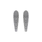 Ali realistiche Stonefly <br /> Grigio SW-2-G