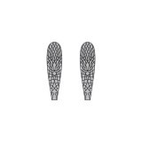 Ailes réalistes Stonefly <br /> Gris SW-3-G