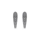 Ali realistiche Stonefly <br /> Grigio SW-3-G