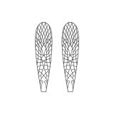 Ailes réalistes Stonefly <br/> Neutre SW-1-N