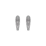 Realistic Stonefly Wings<br/>Neutral SW-4-N