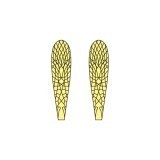 Aripi realiste Stonefly <br /> Galben SW-2-Y