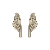 Wings of Spent Bug Caddisfly and Stonefly <br />Brown SPW-3-BR
