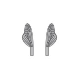 Wings of Spent Bug Caddisfly and Stonefly <br /> Grey SPW-4-G
