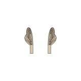 Wings of Spent Caddisfly and Stonefly <br/> Brown SPW-5-BR