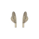 Wings of Spent Caddisfly and Stonefly <br /> Brown SPW-4-BR