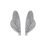 Wings of Spent Caddisfly and Stonefly <br /> Grey SPW-2-G