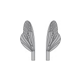 Wings of Spent Caddisfly and Stonefly <br /> Grey SPW-3-G