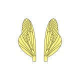 Wings of Spent Caddisfly and Stonefly <br /> Yellow SPW-2-Y