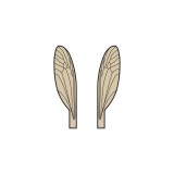 Wings of Terrestrials and Midges <br /> Brown TMW-1-BR