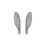Wings of Terrestrials and Midges <br /> Grey TMW-1-G