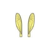 Wings of Terrestrials and Midges <br /> Yellow 