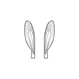 Wings of Terrestrials and Midges <br /> Neutral TMW-1-N