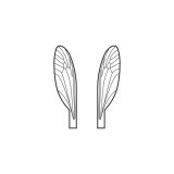 Ailes réalistes des Terrestres et Moucherons <br /> Neutre TMW-1-N