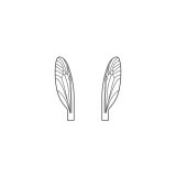 Ailes réalistes des Terrestres et Moucherons <br /> Neutre TMW-2-N