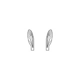 Wings of Terrestrials and Midges <br /> Neutral TMW-3-N
